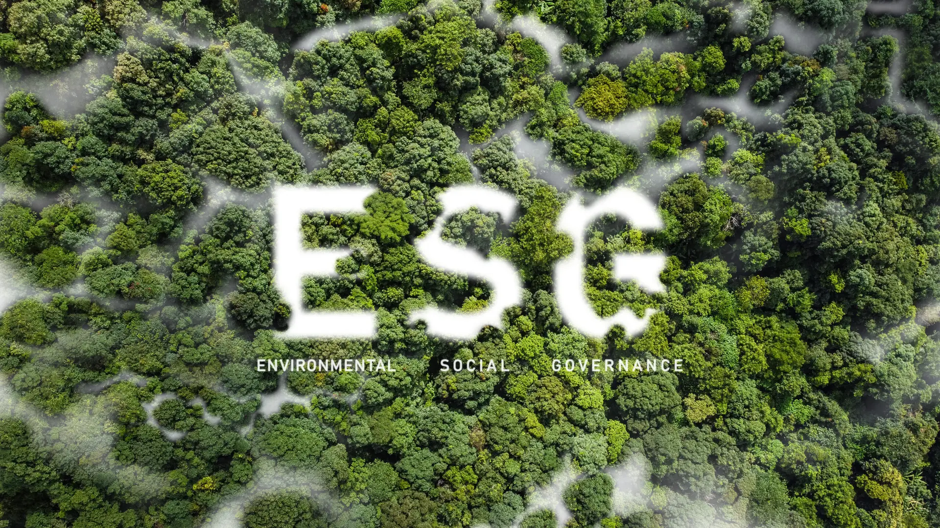 Report Card: ESG Reporting Gets an F. Here’s Why.