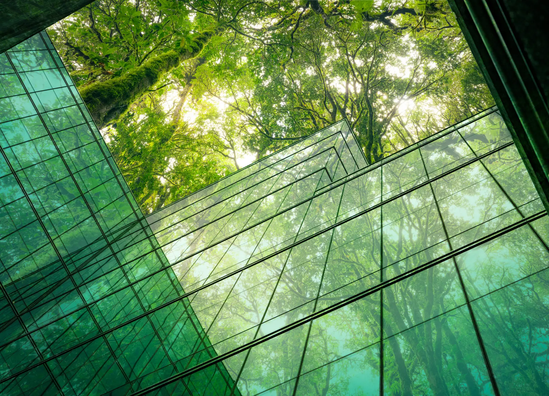 Modern eco-friendly office building representing risk management and compliance in sustainable corporate environments.